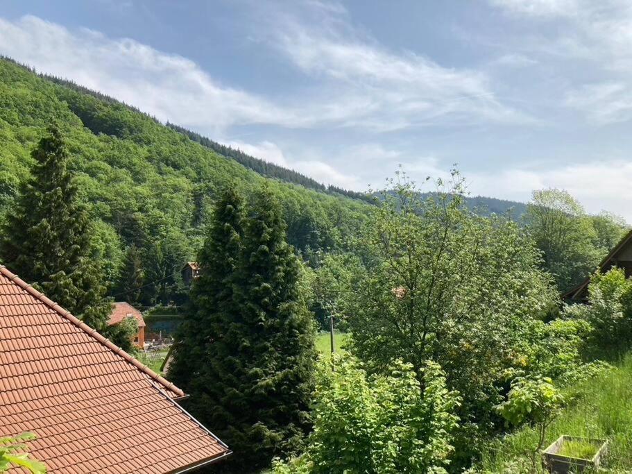 La Belle Vallee Lalaye Exteriér fotografie