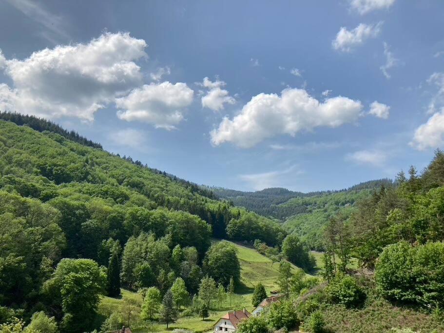 La Belle Vallee Lalaye Exteriér fotografie